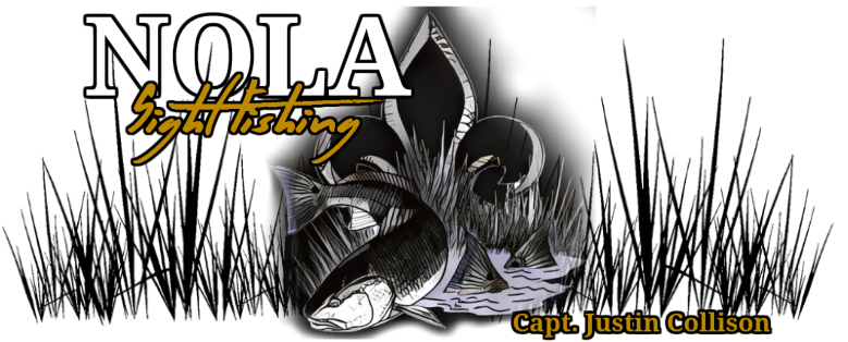 NOLA Sight Fishing :: New Orleans Louisiana Inshore Fishing Charters